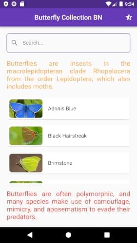 Butterfly Collection BN