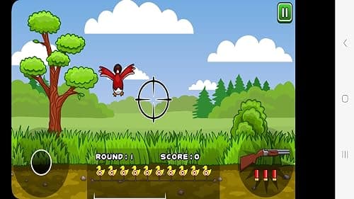 Duck Hunter