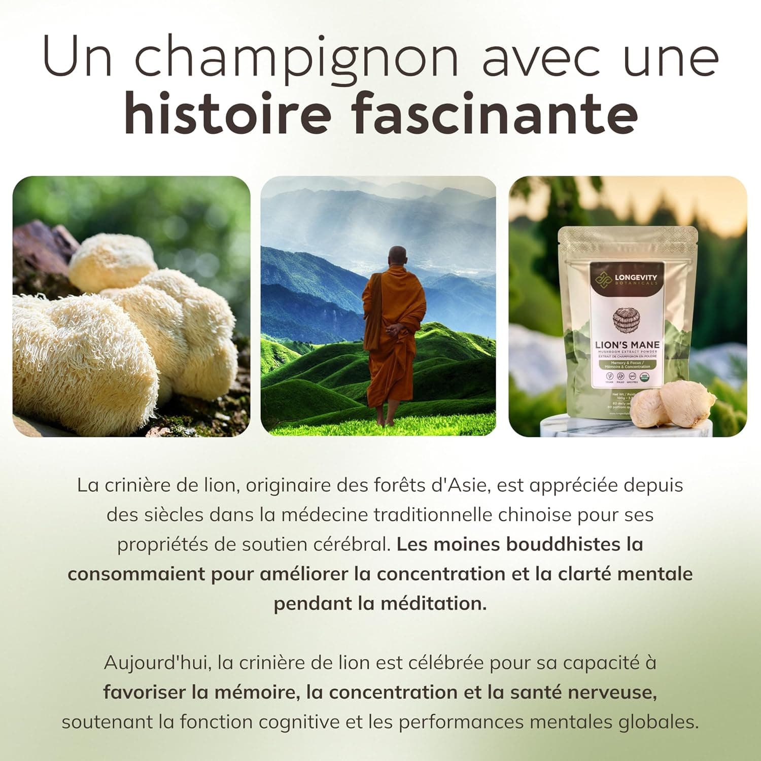 Naturel Lion's Mane Mushroom en poudre, extrait | Hericium erinaceus