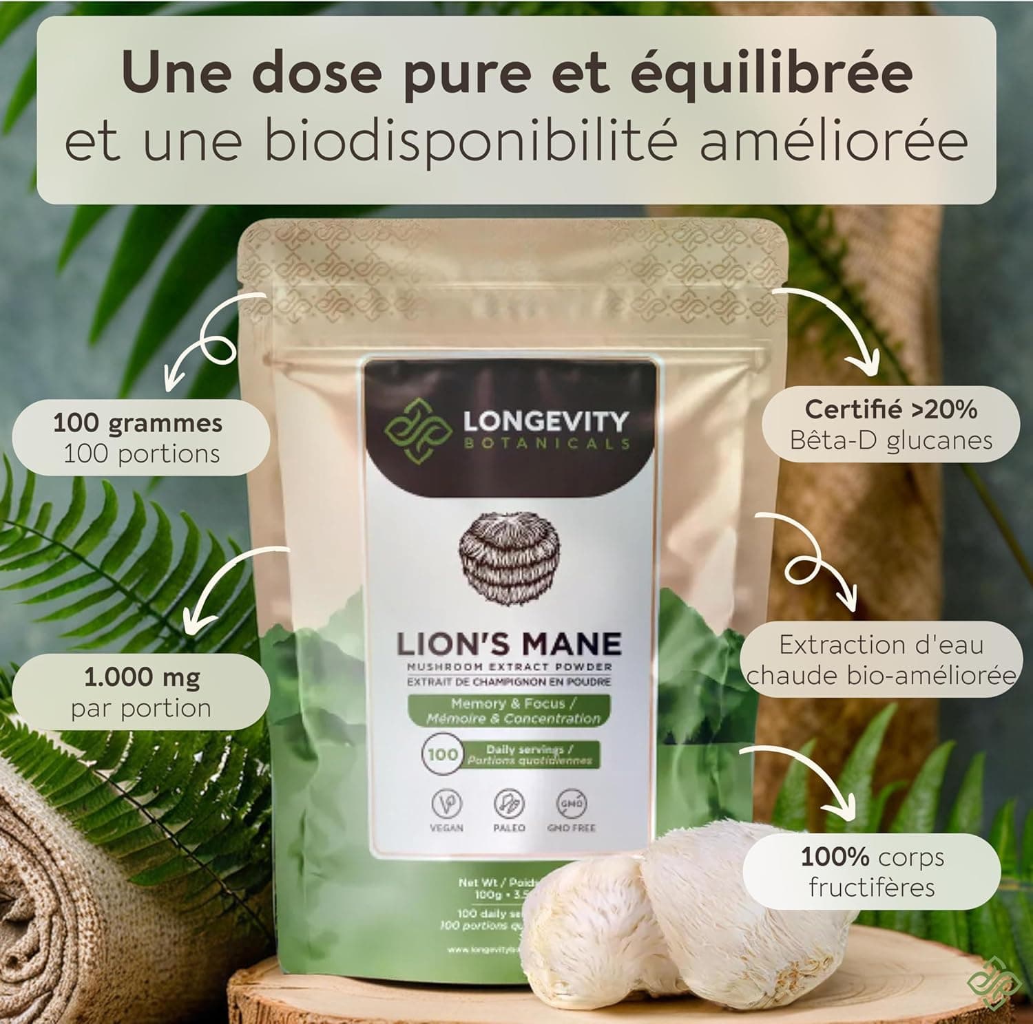 Naturel Lion's Mane Mushroom en poudre, extrait | Hericium erinaceus