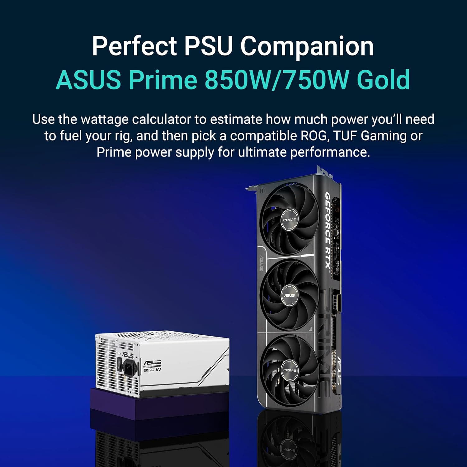 ASUS NVIDIA RTX 5060TI O8G Carte Graphique