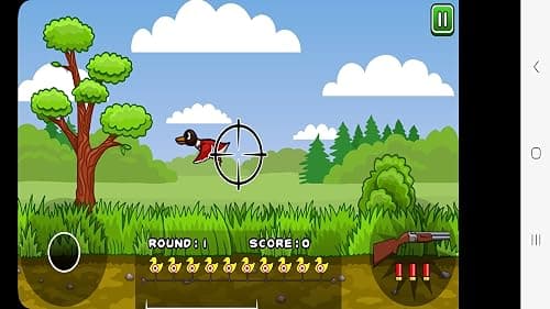 Duck Hunter