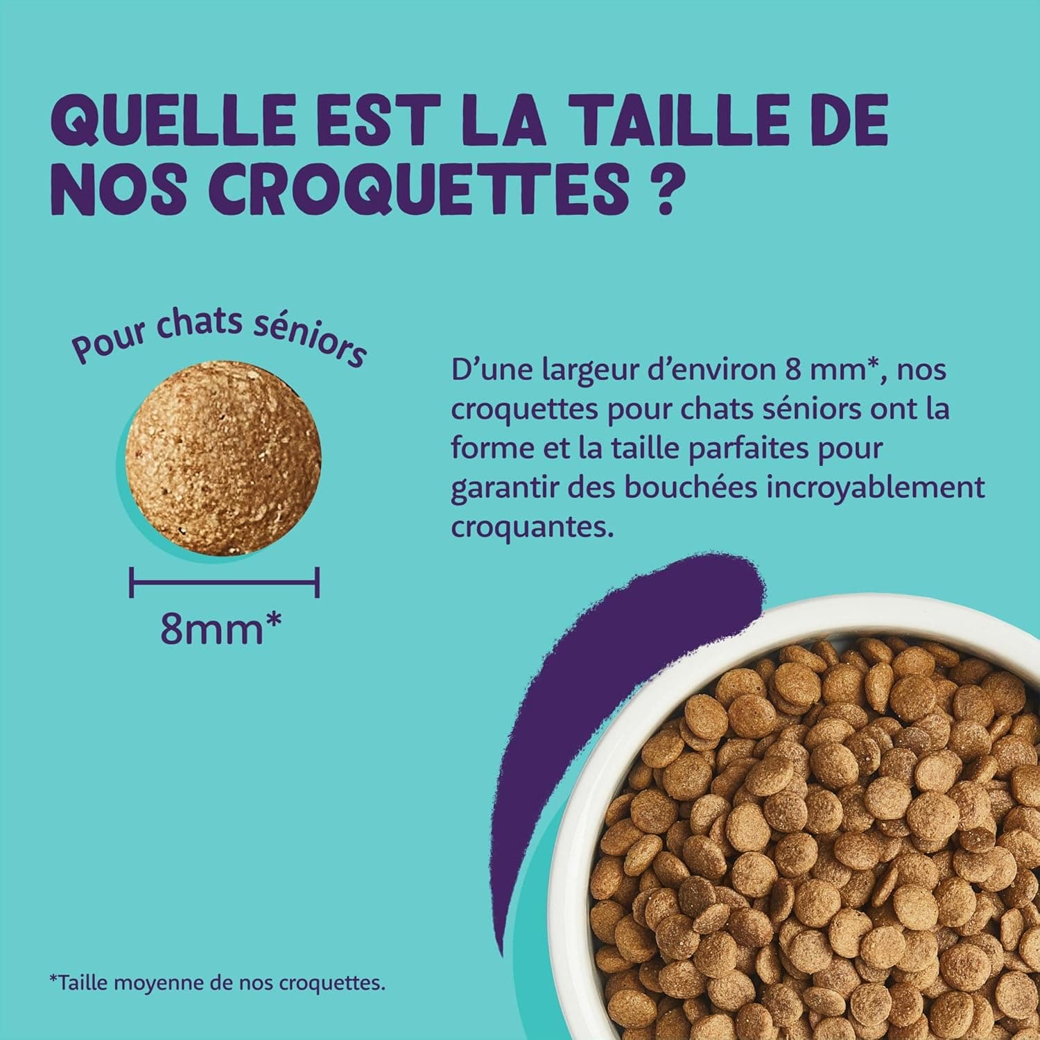 Edgard Cooper Croquettes pour Chat Senior Stérilisé, Senior, Dinde & Poulet 2kg, Sans céréales, Viande fraîche, Nourriture naturelle, Croquette Riche en protéines, Sans sucres ajoutés