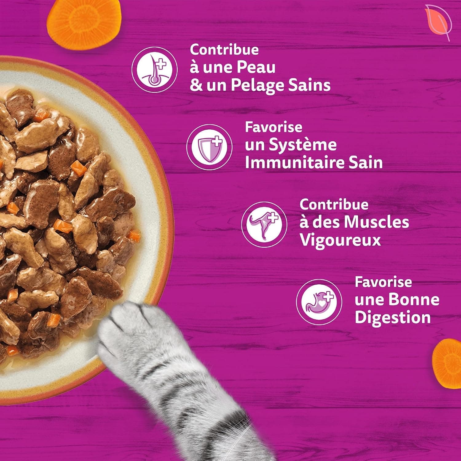 WHISKAS Repas pour Chat - 84 Sachets Fraîcheur de 85g - Pâtée pour Chat Adulte en Sauce - Tasty Mix Recettes de Campagne (4 Variétés) – Nourriture Humide Complète & Equilibrée, 84x85g