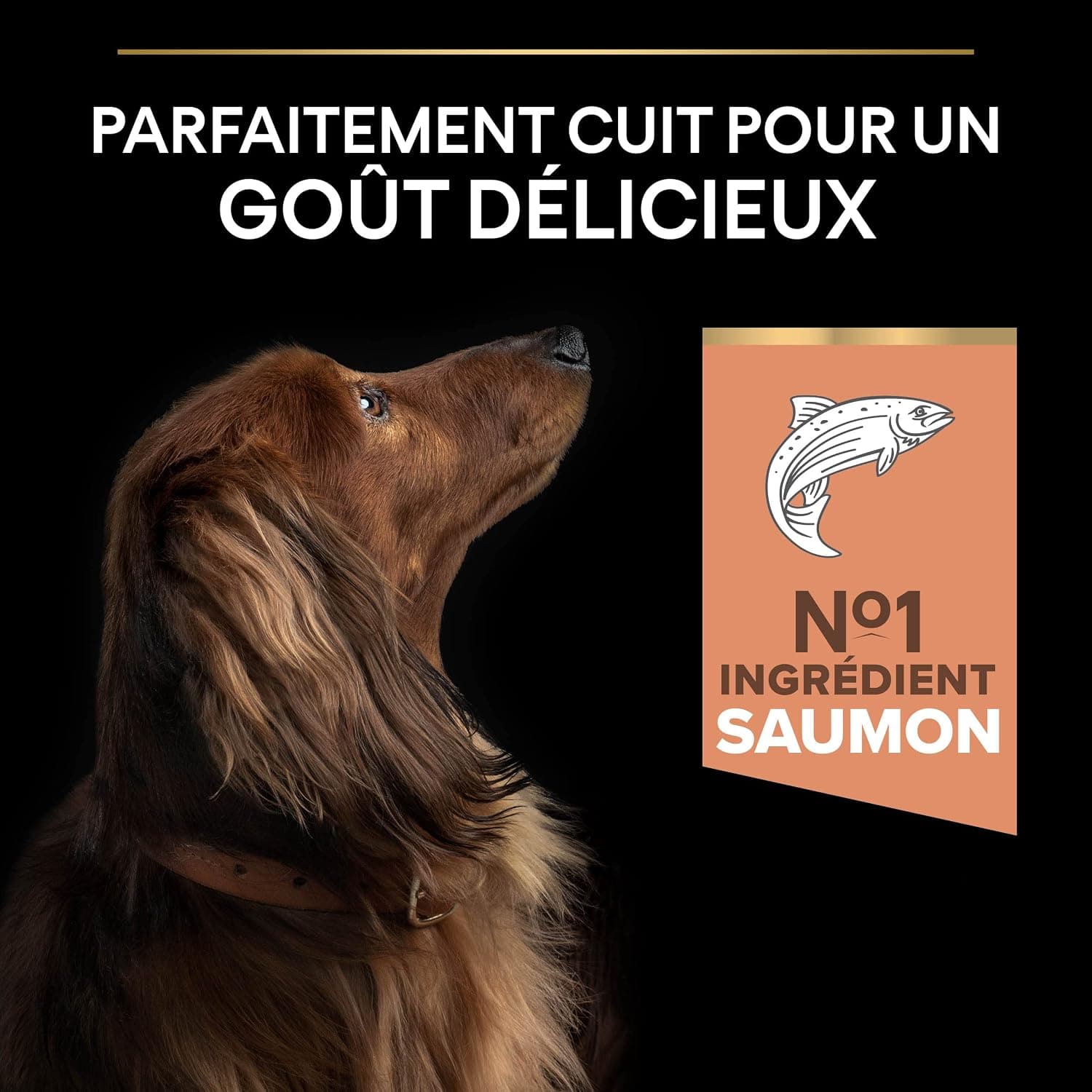 Purina Pro Plan - Sensitive Skin - Croquettes Petit Chien Saumon - 12 kg