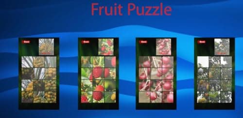 Fruit Puzzle CC