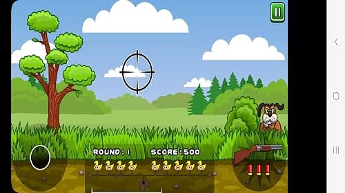 Duck Hunter