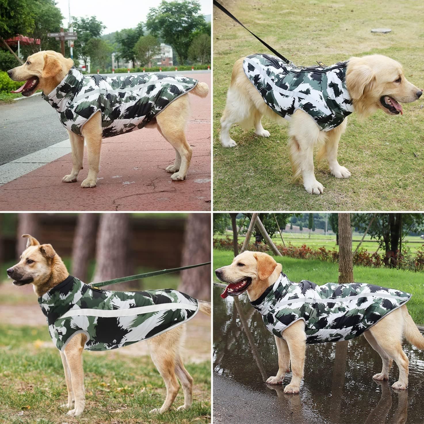 Idepet Manteau pour chien coloré