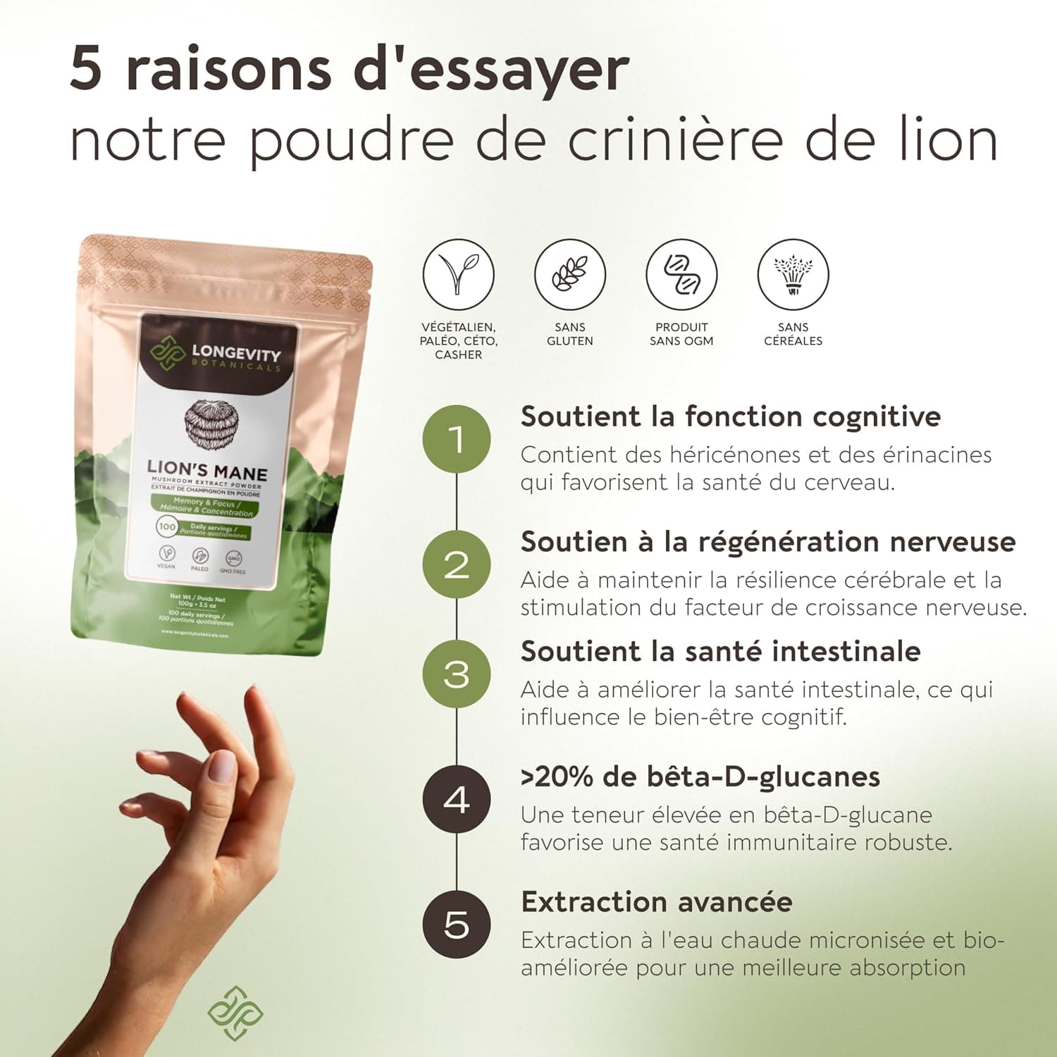 Naturel Lion's Mane Mushroom en poudre, extrait | Hericium erinaceus