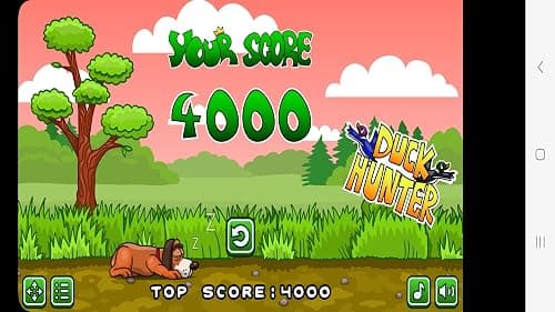 Duck Hunter