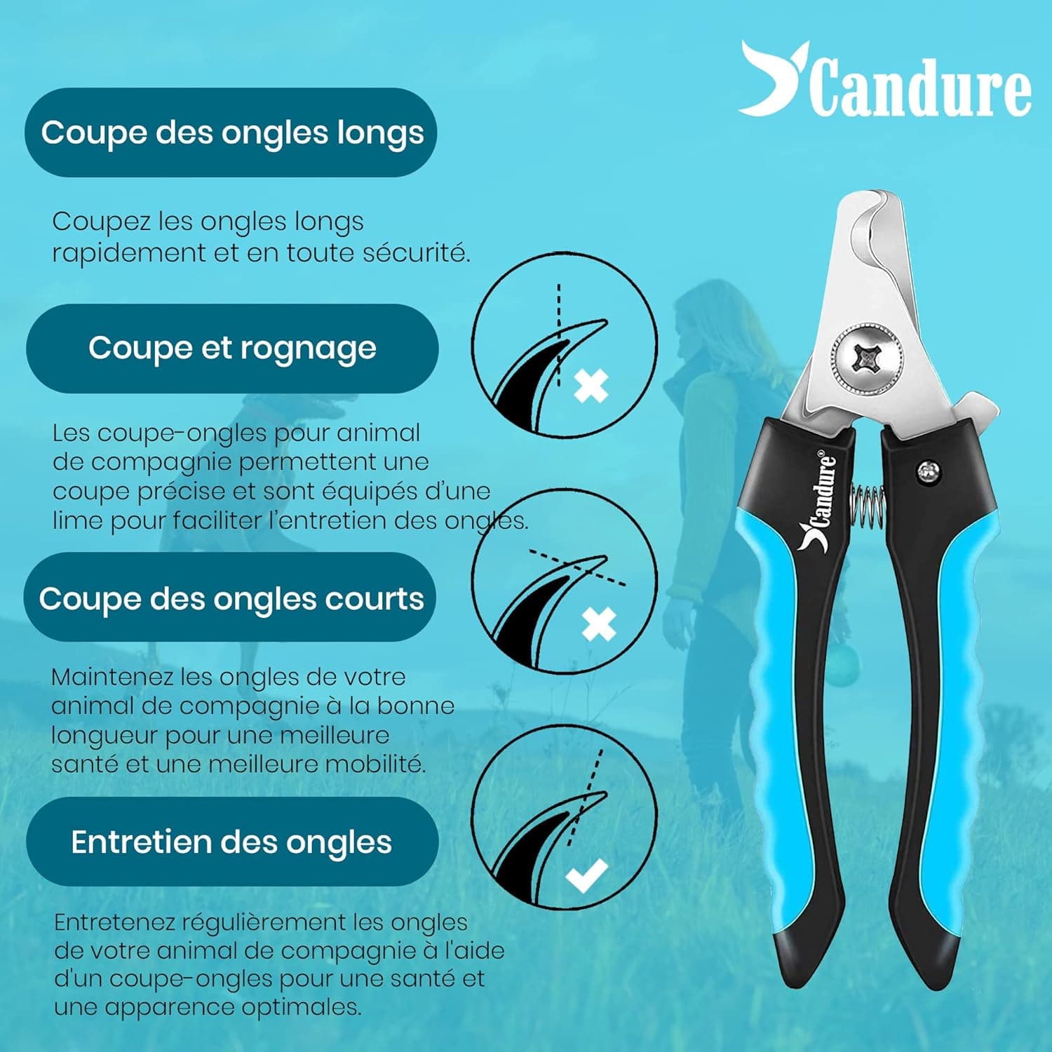 Candure Coupe Ongles Chien Pour Coupe Griffes Chien Et Coupe Ongle Chat- Acier Inoxydable Chien Toilettage Coupe Ongles Pour Animaux De Compagnie