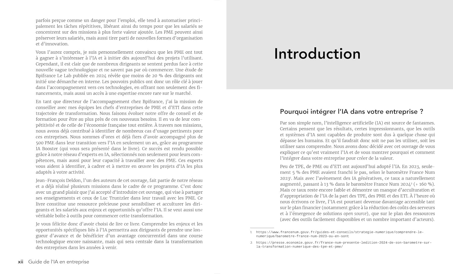 Guide de l'IA en entreprise