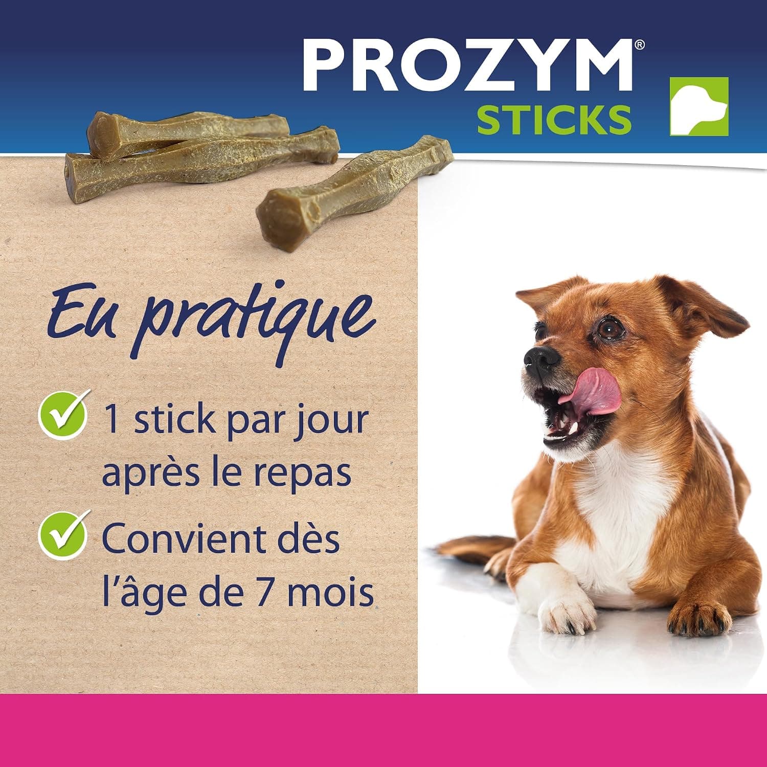 PROZYM RF2 Sticks x12 - Spéciale Hygiène Dentaire Naturelle - Recommandé par des Vétérianire - Formule Vegan pour Chien -25kg (blé)