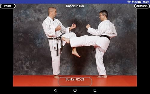 KARATE SHITO-RYU 3