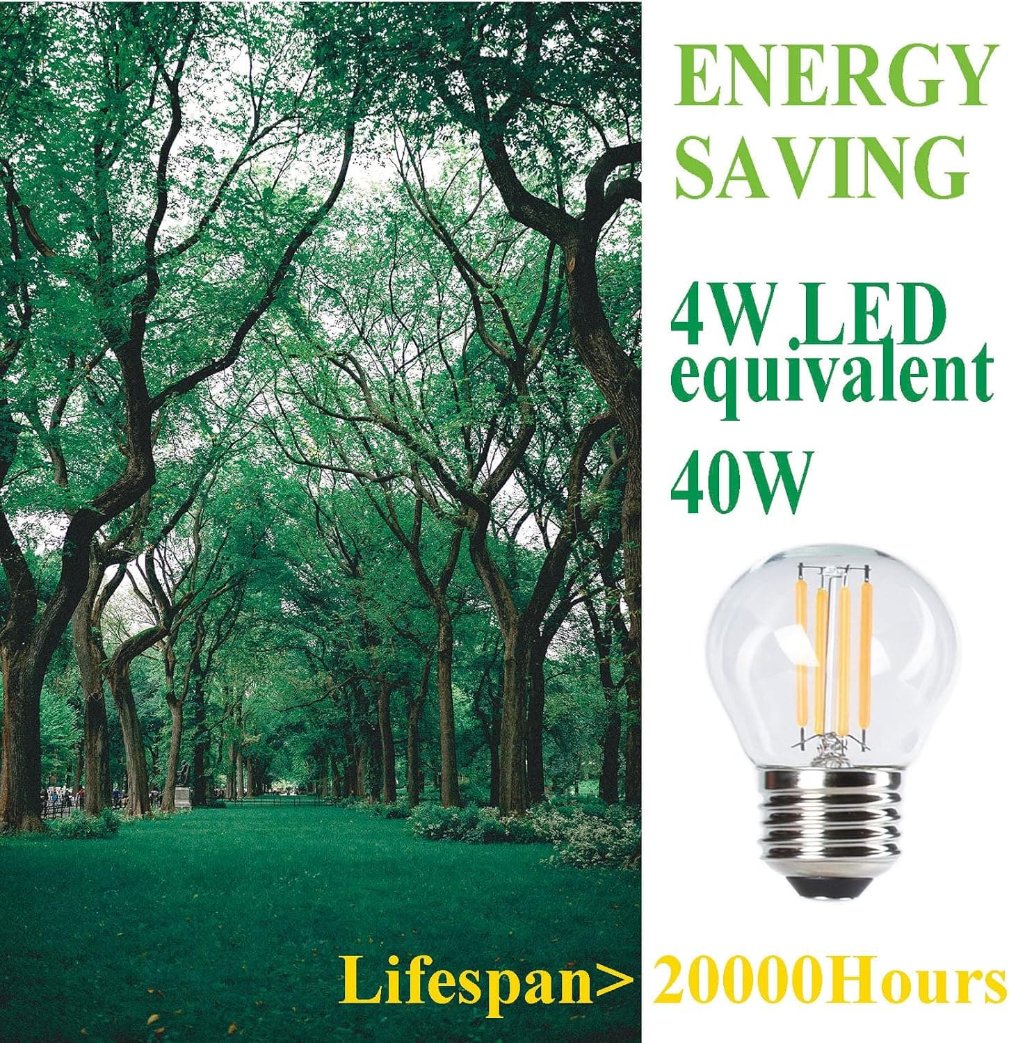Etrogo Ampoule LED Filament E27 G45 4W Equivalent 40W 450Lm 2700K Blanc Chaud (Non Dimmable,Lot de 6)