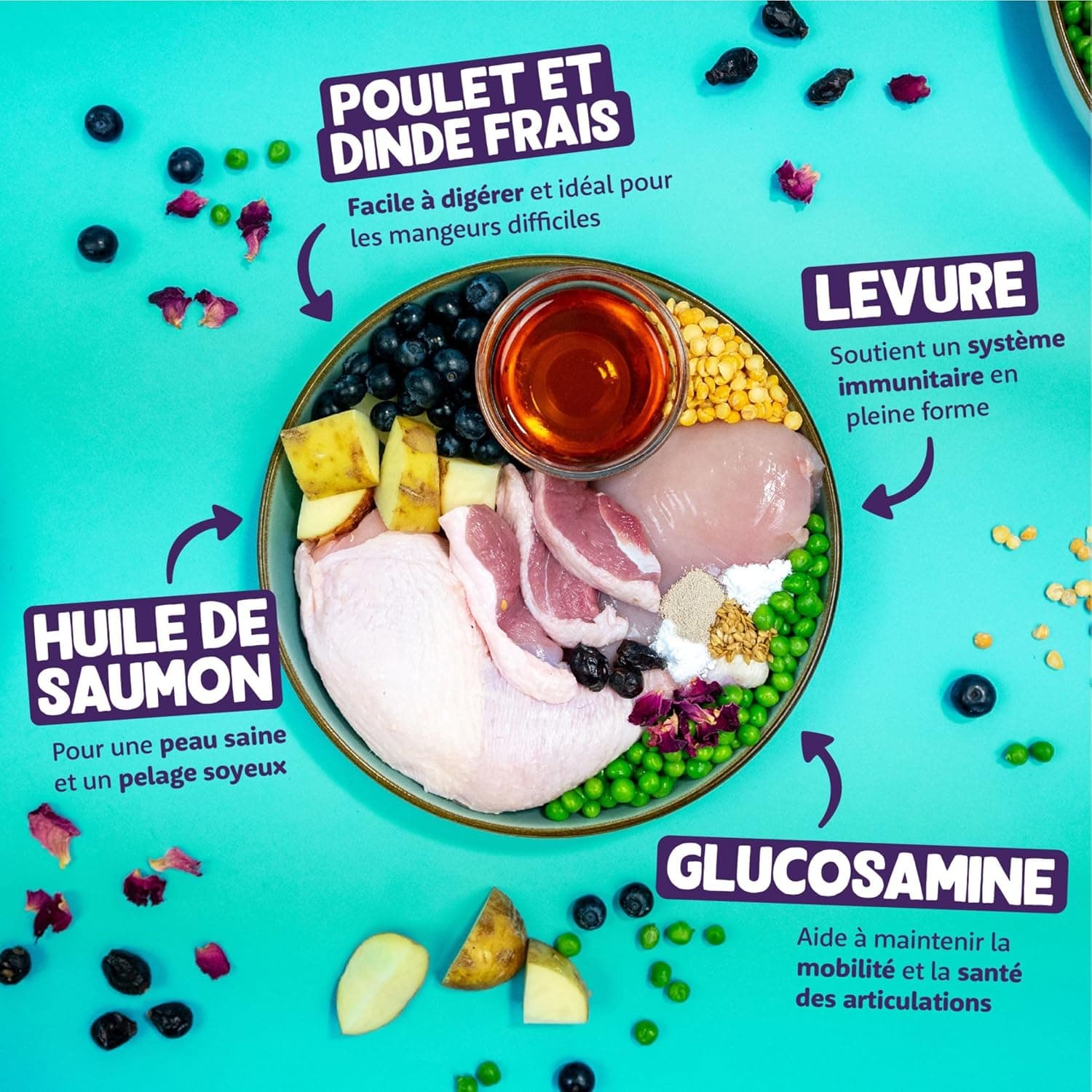 Edgard Cooper Croquettes pour Chaton Stérilisé, Chaton, Canard & poulet 2kg, Sans céréales, Viande fraîche, Nourriture naturelle, Croquette Riche en protéines, Sans sucres ajoutés