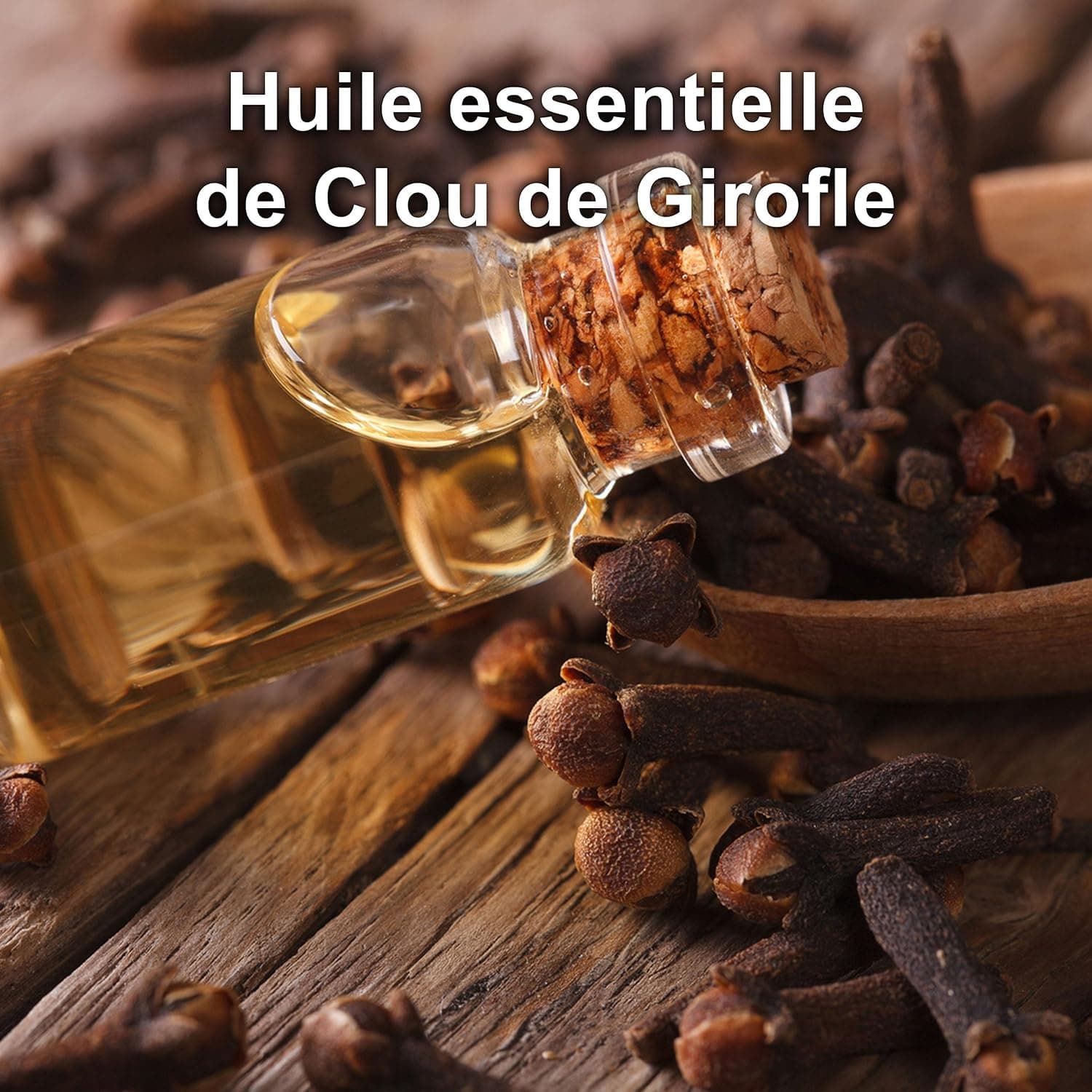 Huile Essentielle de Clou de Girofle BIO | Eugenia Caryophyllus