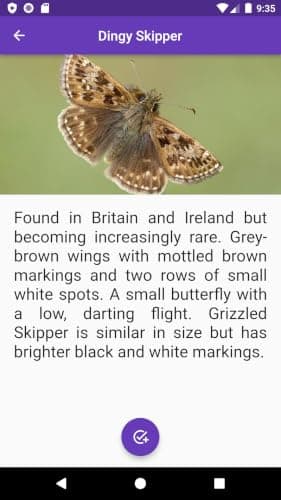 Butterfly Collection BN