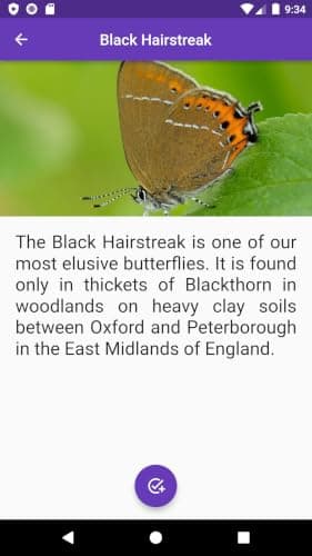 Butterfly Collection BN