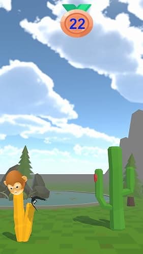 Tucan Fly