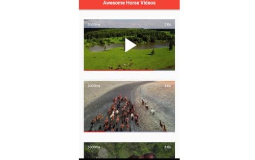 Awesome Horse Videos