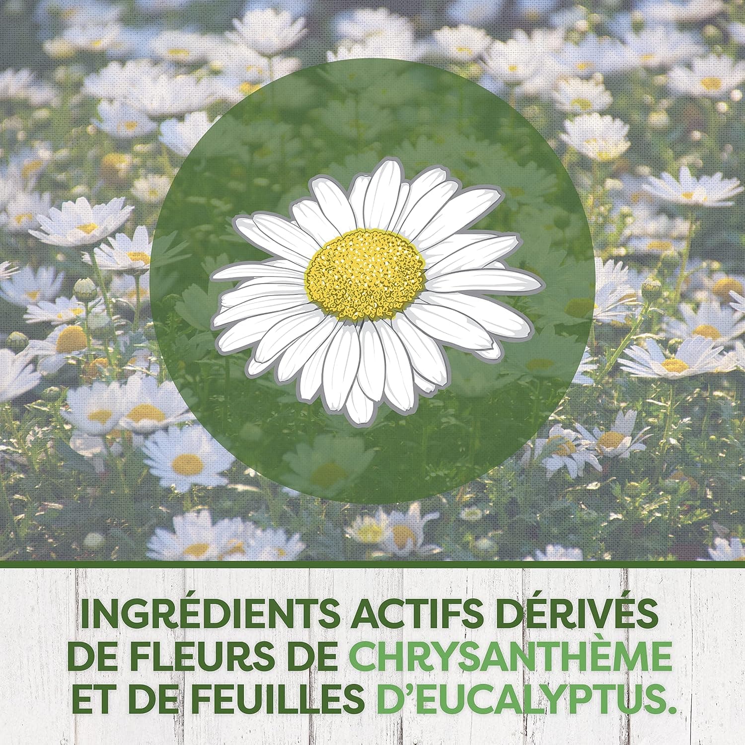 Pyrel Recharge Diffuseur Électrique Sans Parfum 45 Nuits 1 Recharge