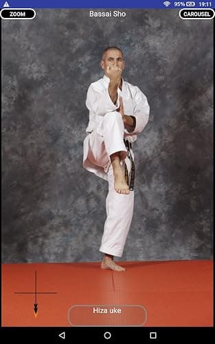 KARATE SHITO-RYU 3