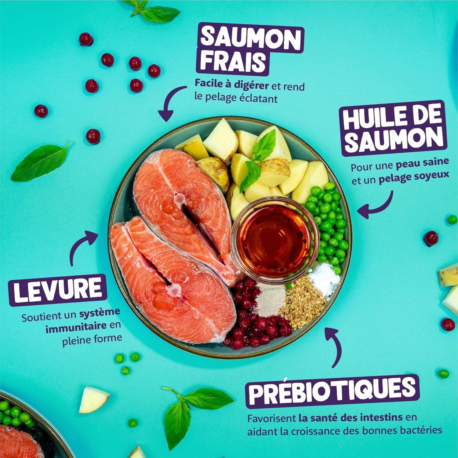 Edgard Cooper Croquettes pour Chat Stérilisé, Adulte, Saumon 2kg, Sans céréales, Viande fraîche, Nourriture naturelle, Croquette Riche en protéines, Sans sucres ajoutés