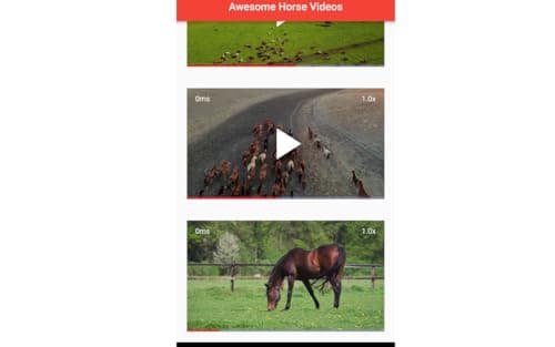 Awesome Horse Videos