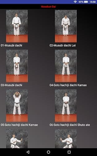 KARATE SHITO-RYU 3