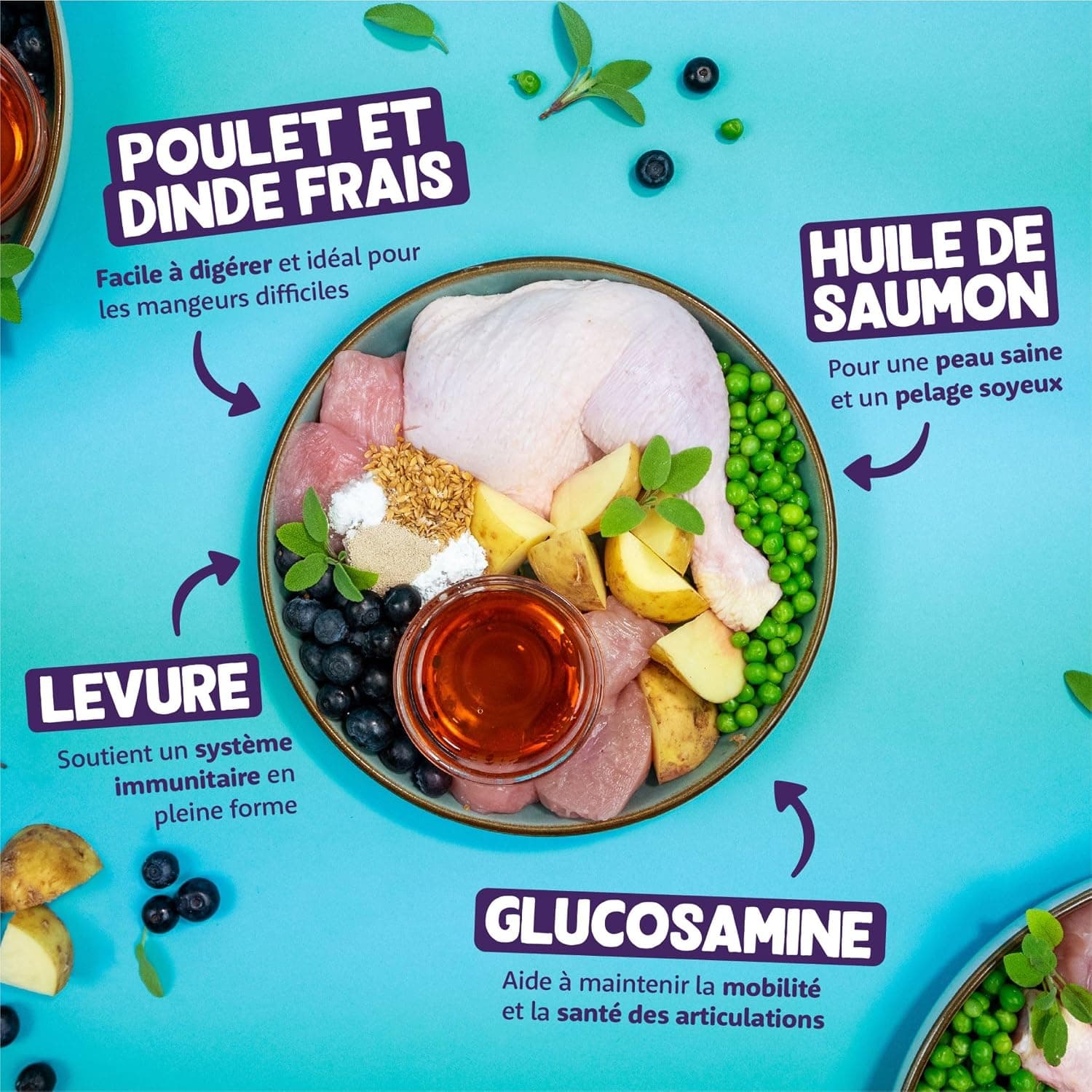 Edgard Cooper Croquettes pour Chat Senior Stérilisé, Senior, Dinde & Poulet 2kg, Sans céréales, Viande fraîche, Nourriture naturelle, Croquette Riche en protéines, Sans sucres ajoutés