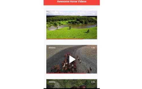 Awesome Horse Videos