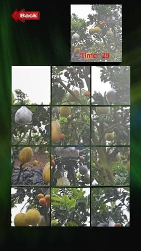 Fruit Puzzle CC