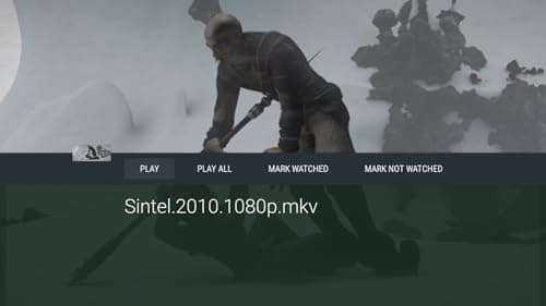 Vimu Media Player for Fire TV