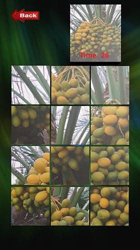 Fruit Puzzle CC