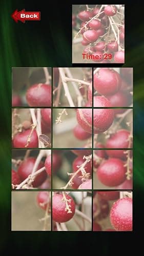 Fruit Puzzle CC