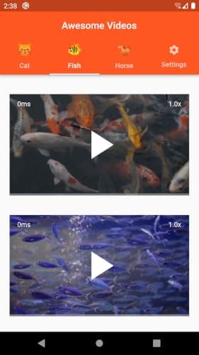 Awesome Videos