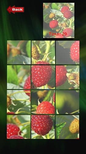 Fruit Puzzle CC