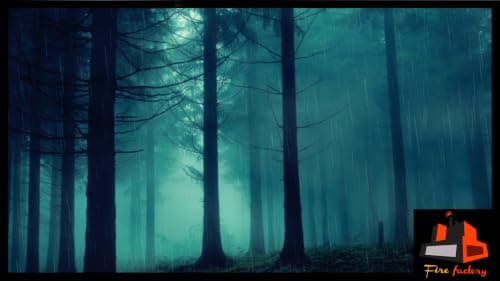 Relaxing Rain HD - Peaceful Rain Views