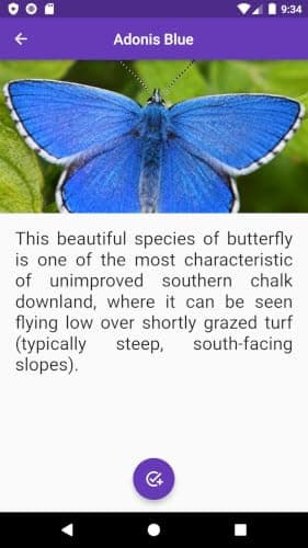 Butterfly Collection BN