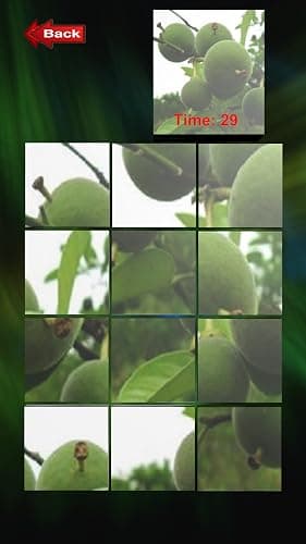 Fruit Puzzle CC