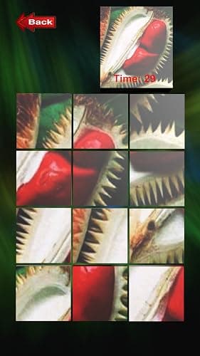 Fruit Puzzle CC