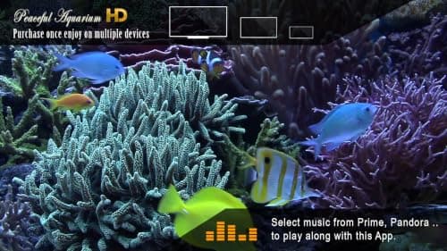 Peaceful Aquarium HD