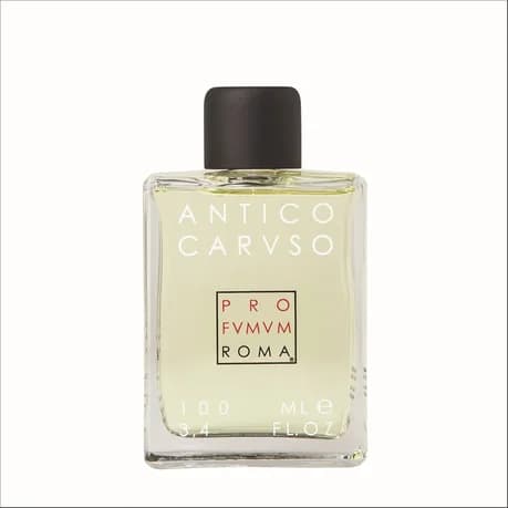 Antico Carvso 100 ml
