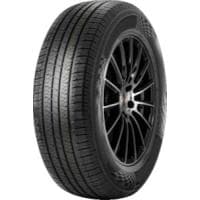 Royalmax 1
