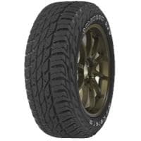 Omikron A/T