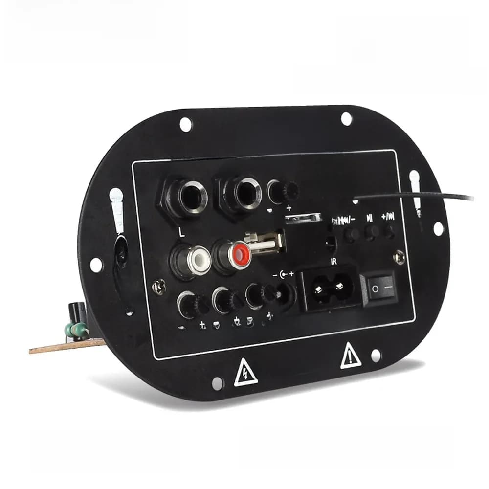 Woopker – carte amplificateur stéréo numérique Bluetooth, caisson de basses, double Microphone karaoké pour haut-parleur de 8 à 10 pouces, 110V 220V 12V 24V