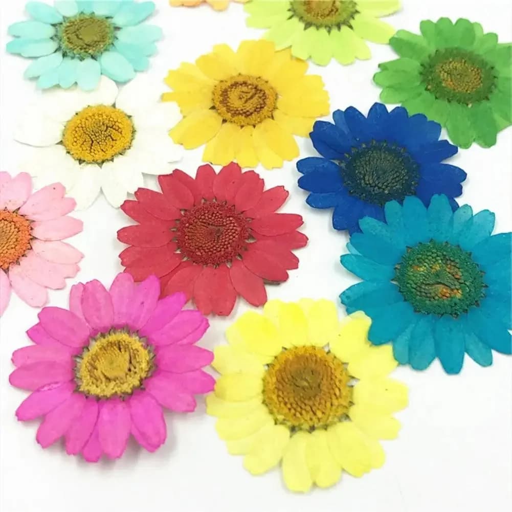 Fleurs séchées Mini taille, fleur naturelle pressée, résine époxy, artisanat d'ongles, outils de décoration de téléphone, décoration de la maison, 12 pièces