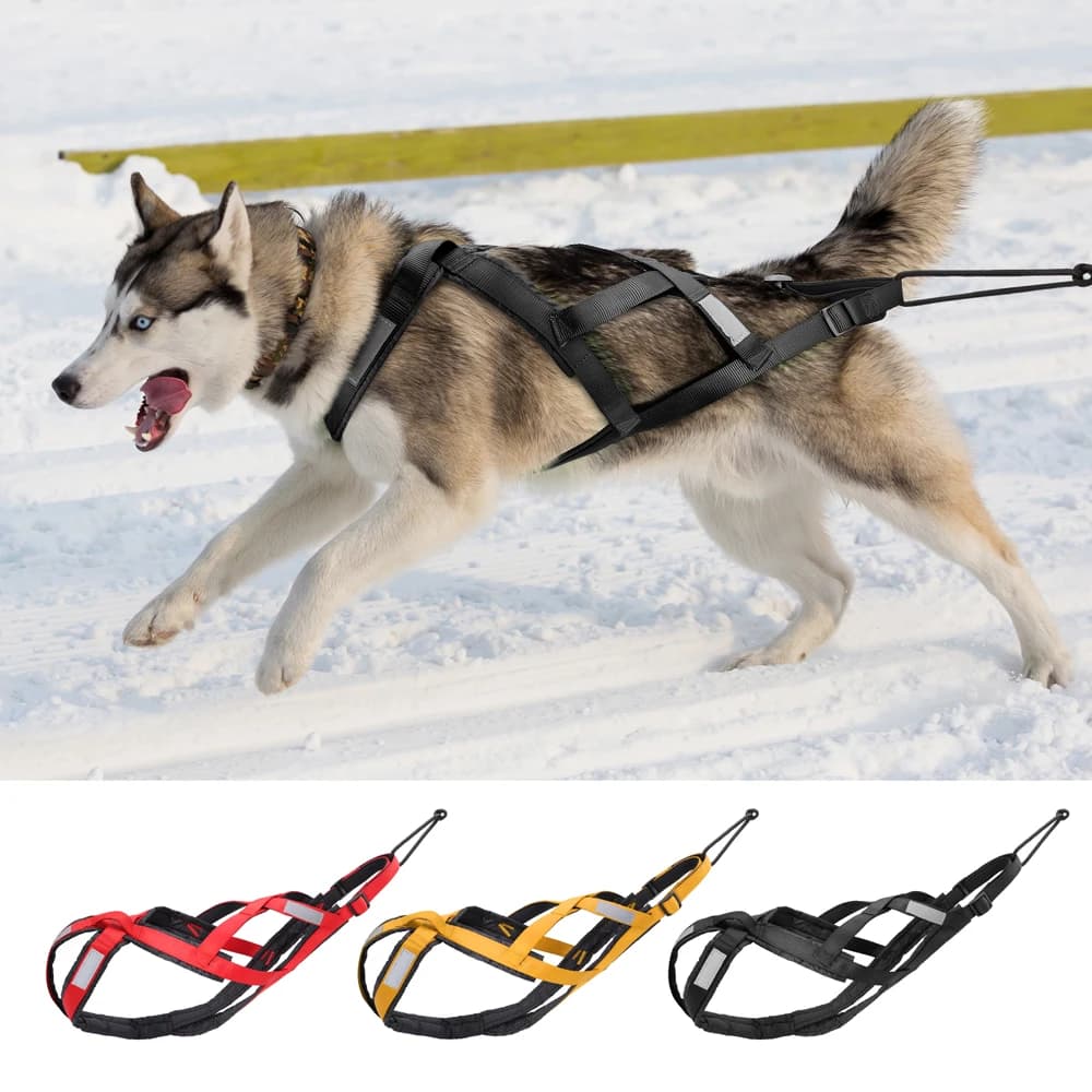 Traîneau à traction SFP étanche pour grands chiens Husky, exercice pour animaux de compagnie, bikejoring, traîneau, skijoring, SFP