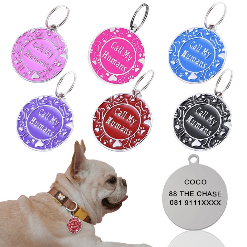 Étiquette d'identification de chien de compagnie gravée gratuitement, étiquette d'identification personnalisée pour chat et chiot, accessoires de collier de chien de compagnie, étiquettes de nom